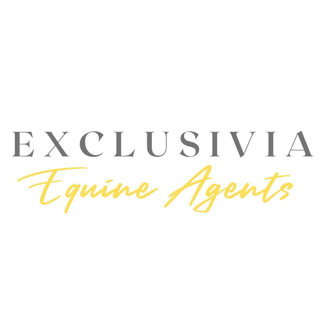 Navy le mieux saddlepad