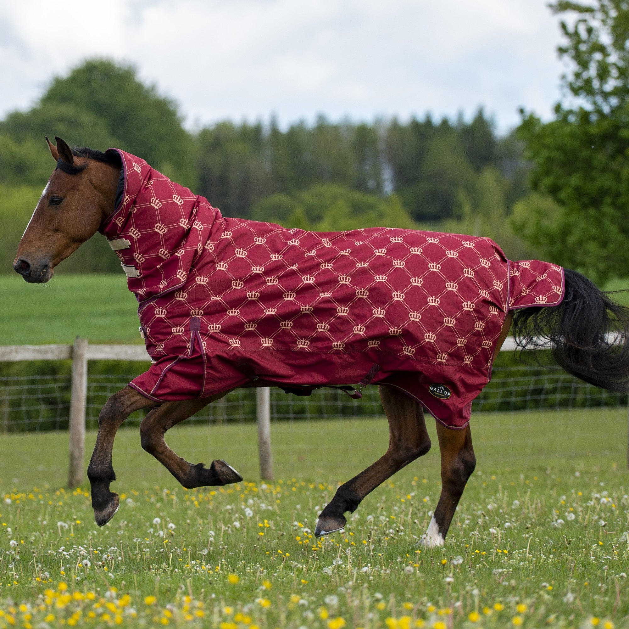 Rugs – personalised by