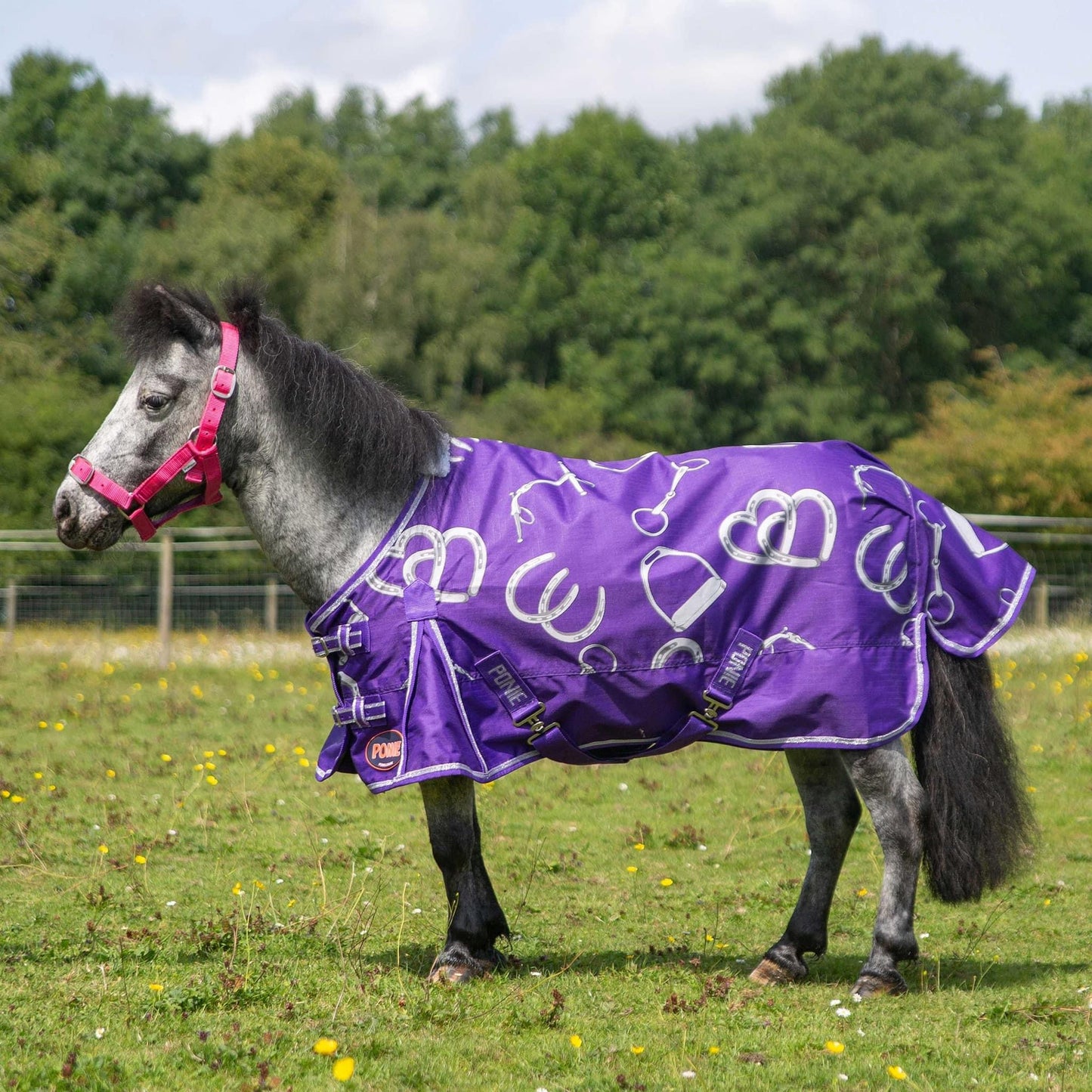 NEW LIMITED EDITION - BIT OF LUCK TURNOUT RUG