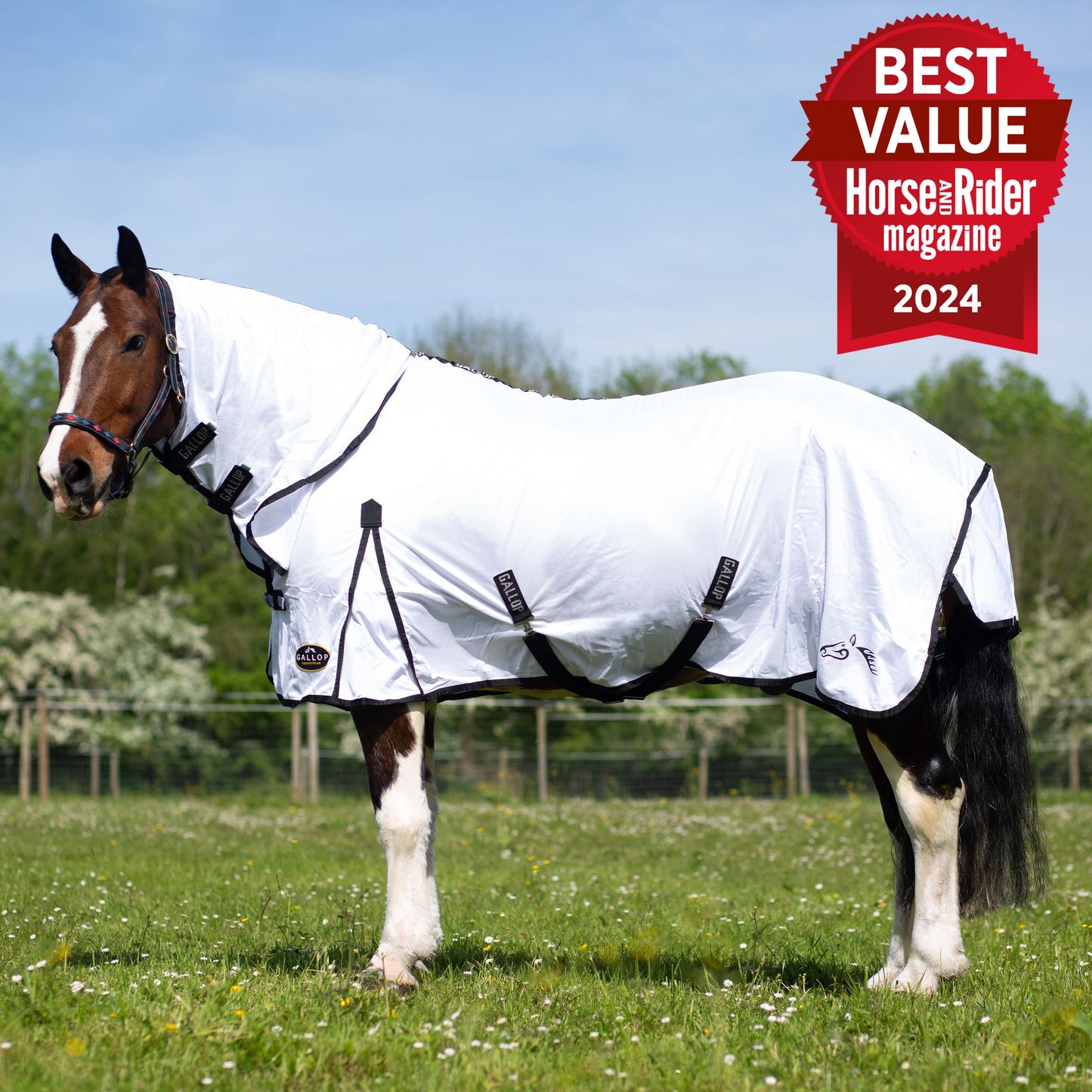 Award Winning - Best Value 'Horse & Rider 2024' - Classic Fly Combo