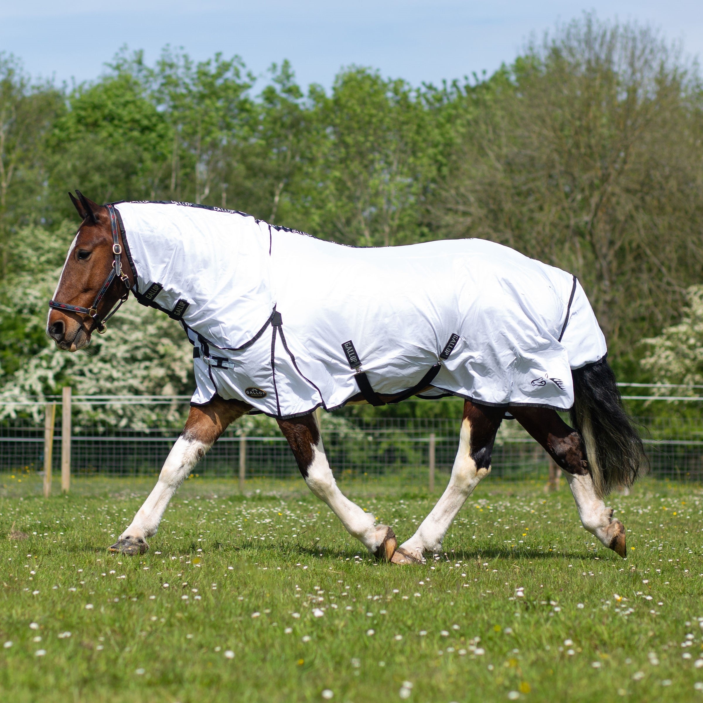 Award Winning - Best Value 'Horse & Rider 2024' - Classic Fly Combo ...