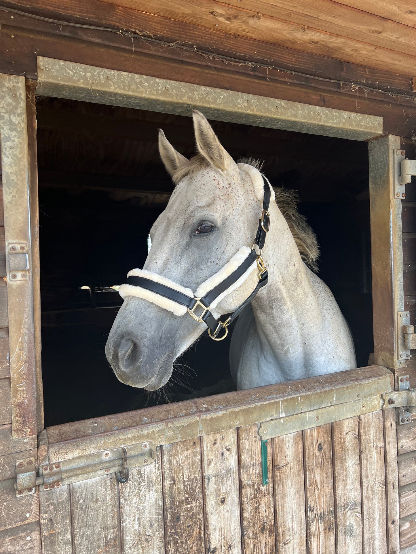 Leather Headcollar with Faux Fur Lining