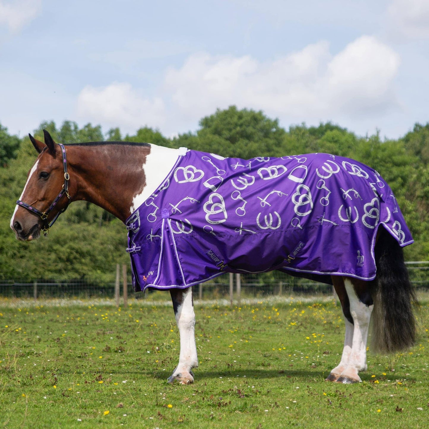 NEW LIMITED EDITION - BIT OF LUCK TURNOUT RUG