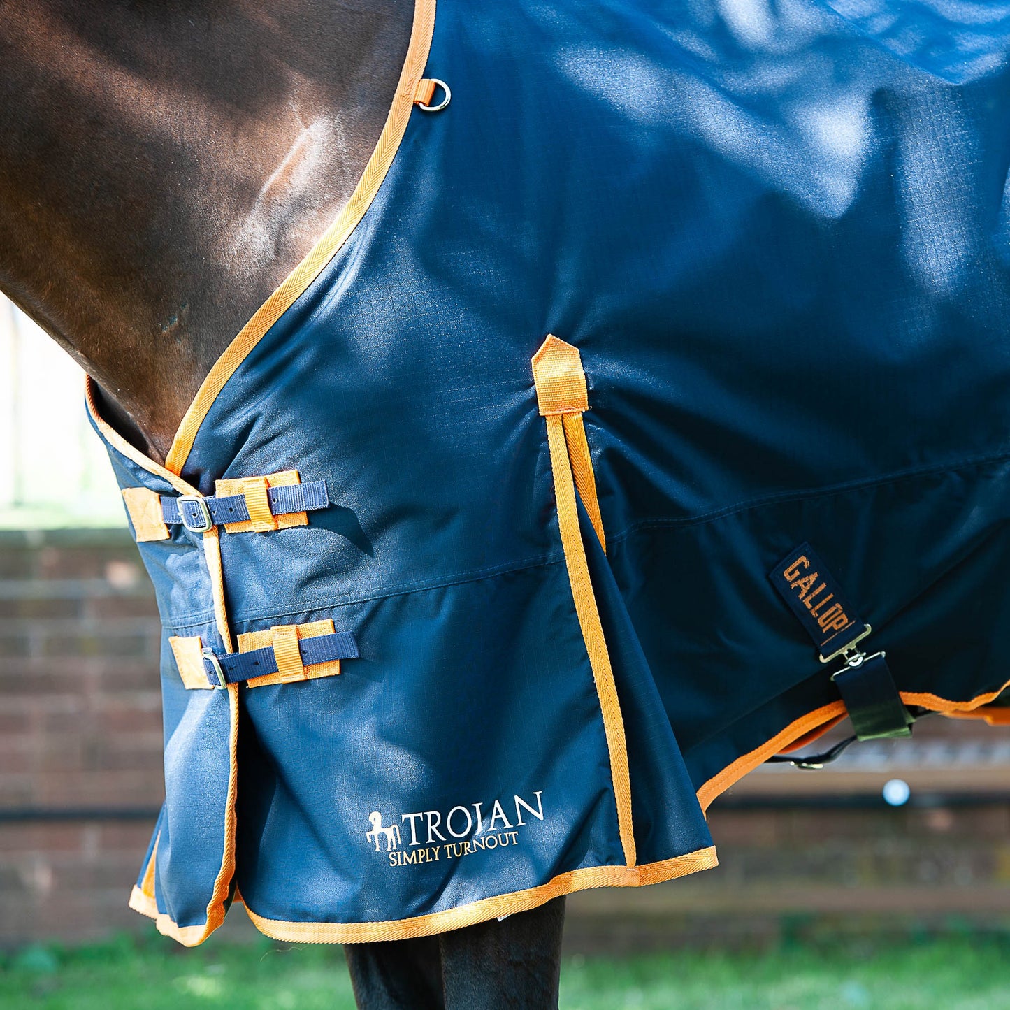 TROJAN 100 Turnout Rug