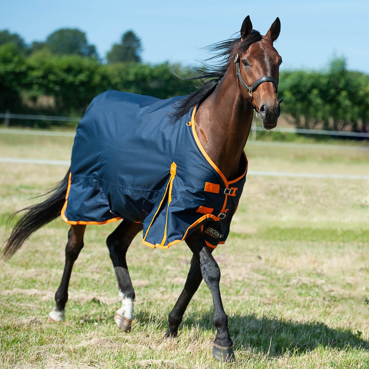 TROJAN 100 Turnout Rug