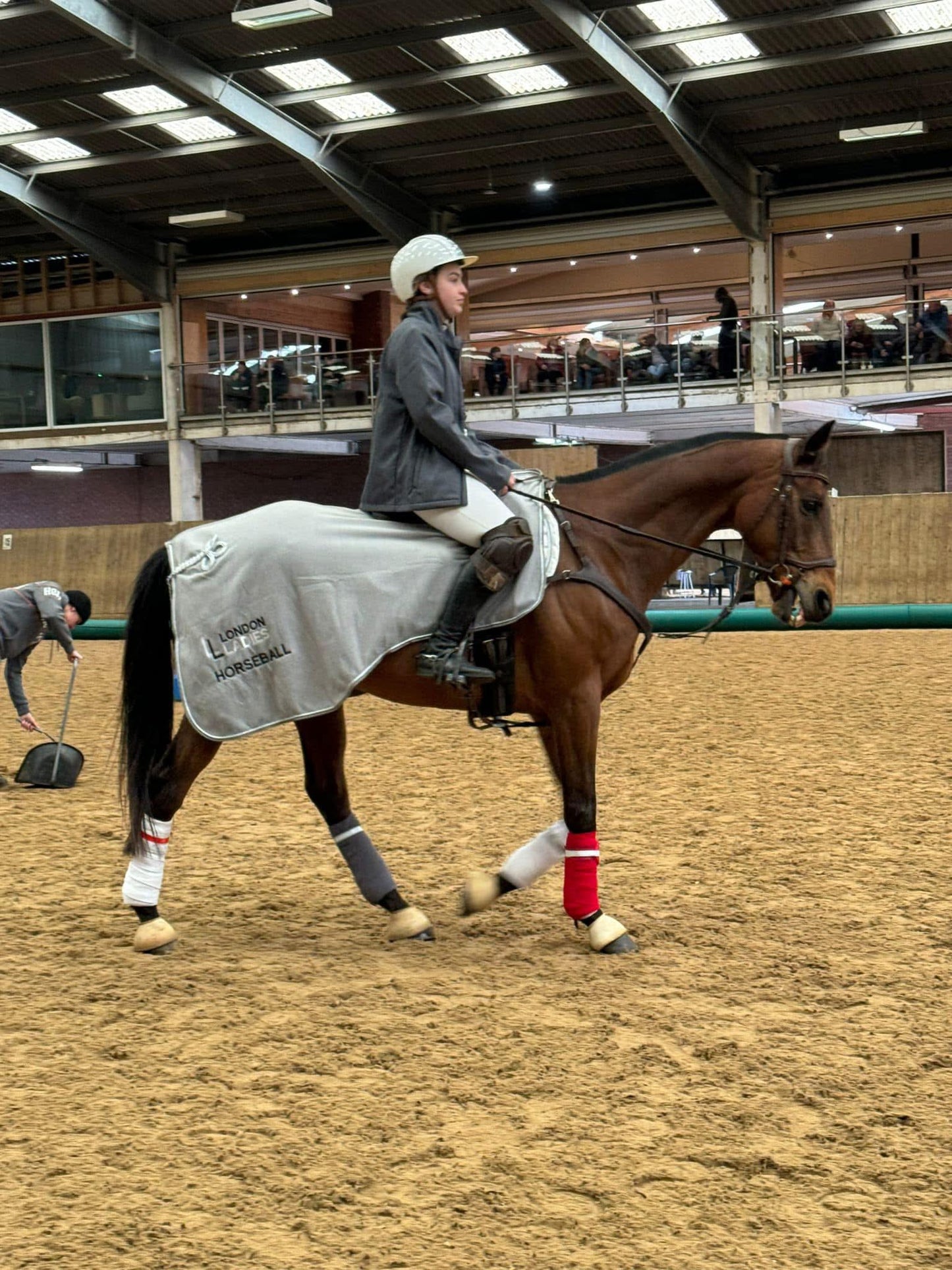 Embroidered Fleece Cut-away Ride On Rug