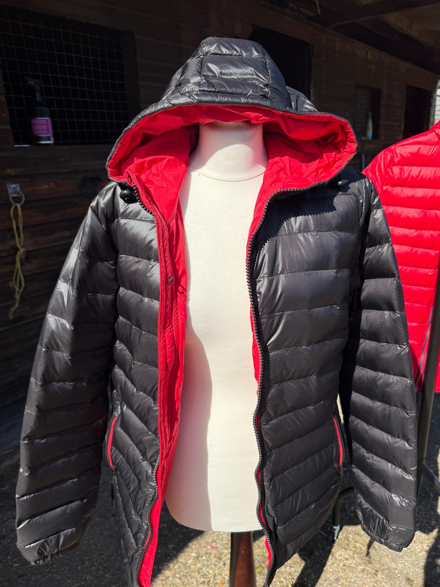Ladies Padded Jacket - Black/Red
