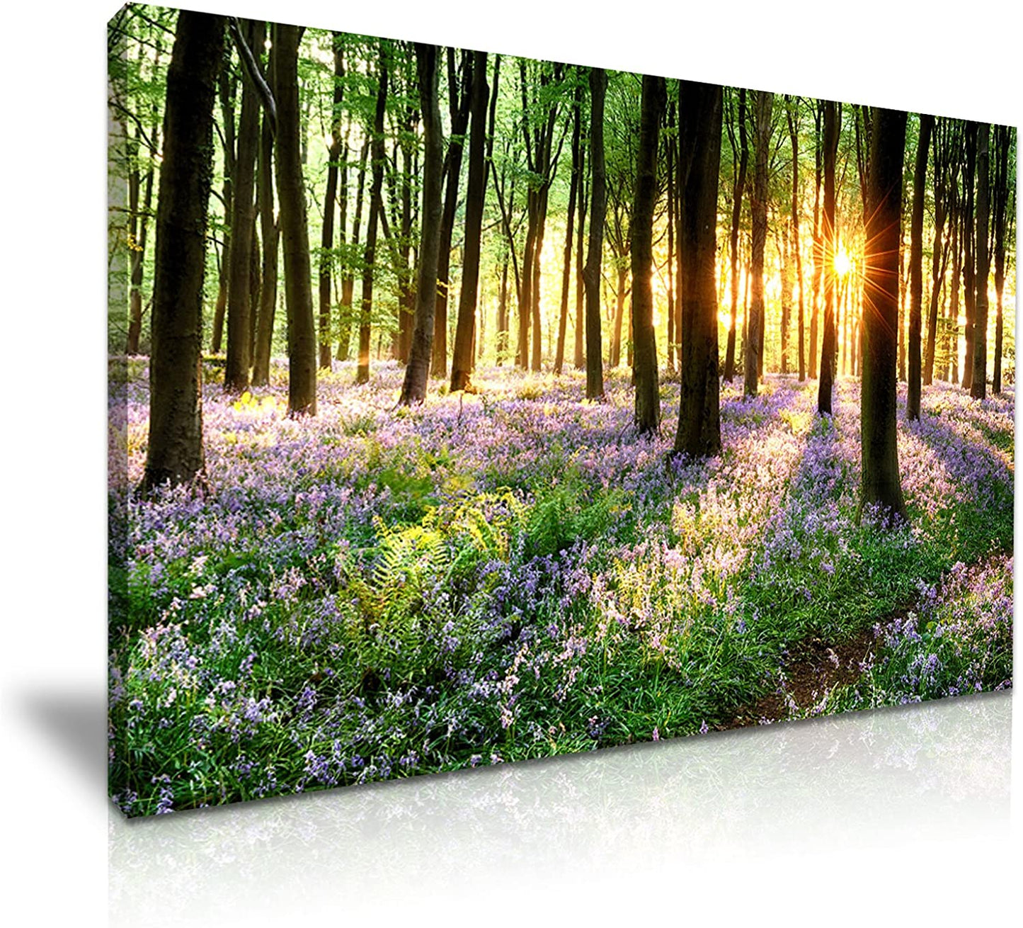 Printed Canvas Pictures