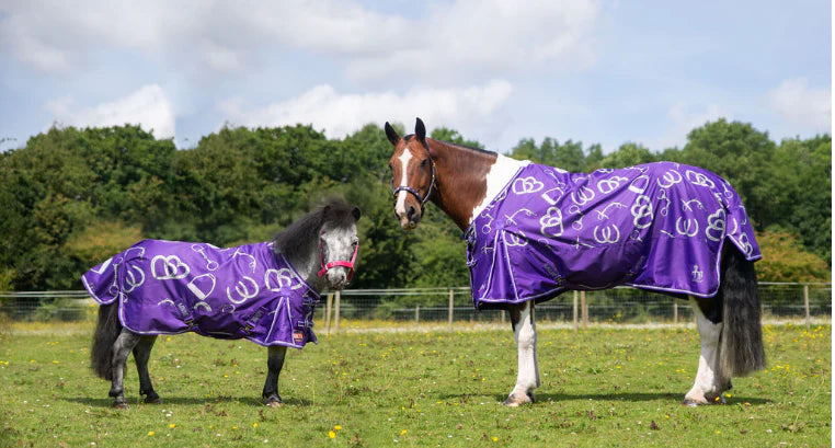 NEW LIMITED EDITION - BIT OF LUCK TURNOUT RUG