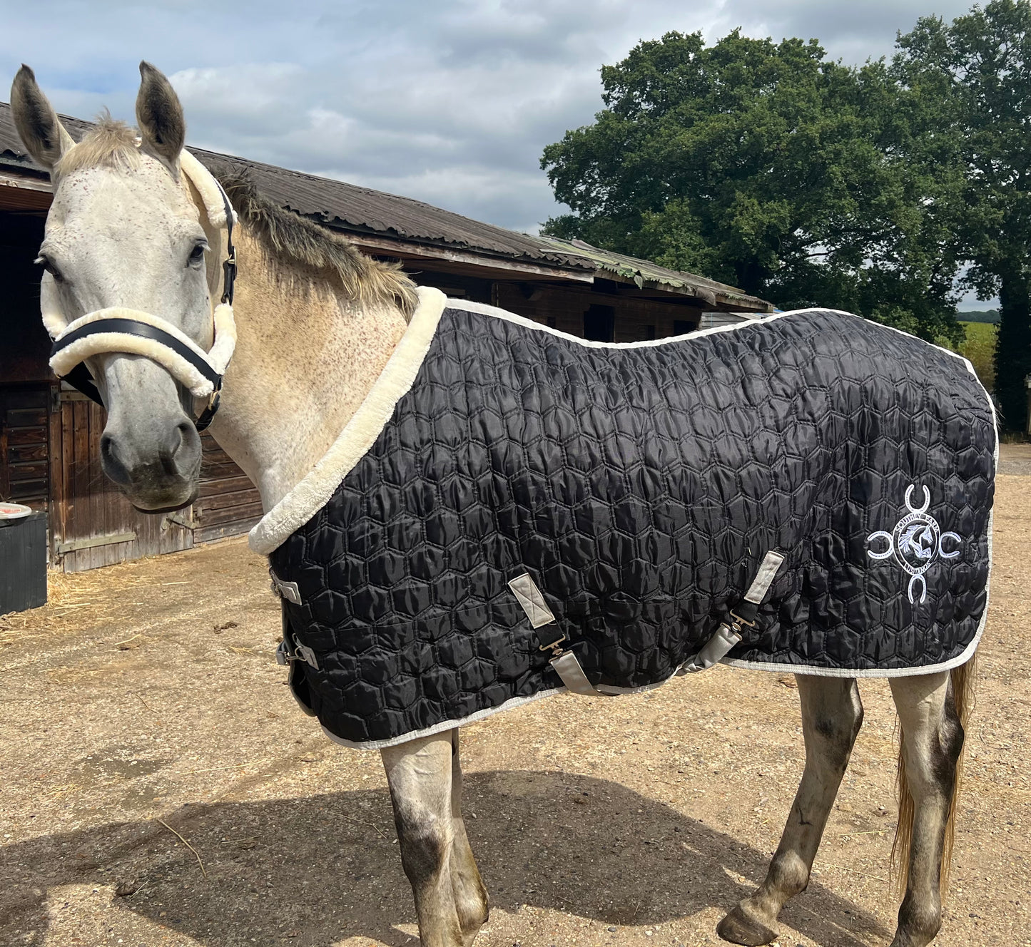 Personalised Stable Rug