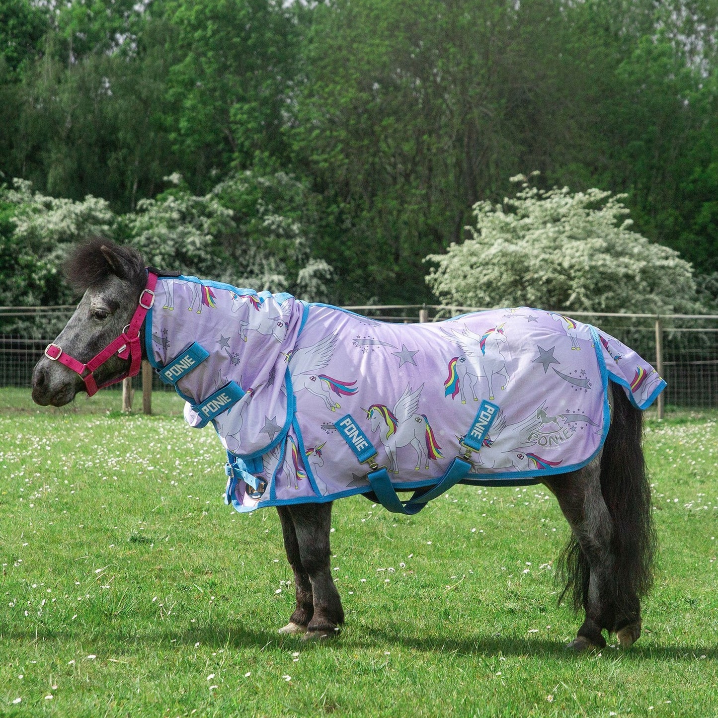NEW PONIE 'Pegacorn' Combo Fly Rug