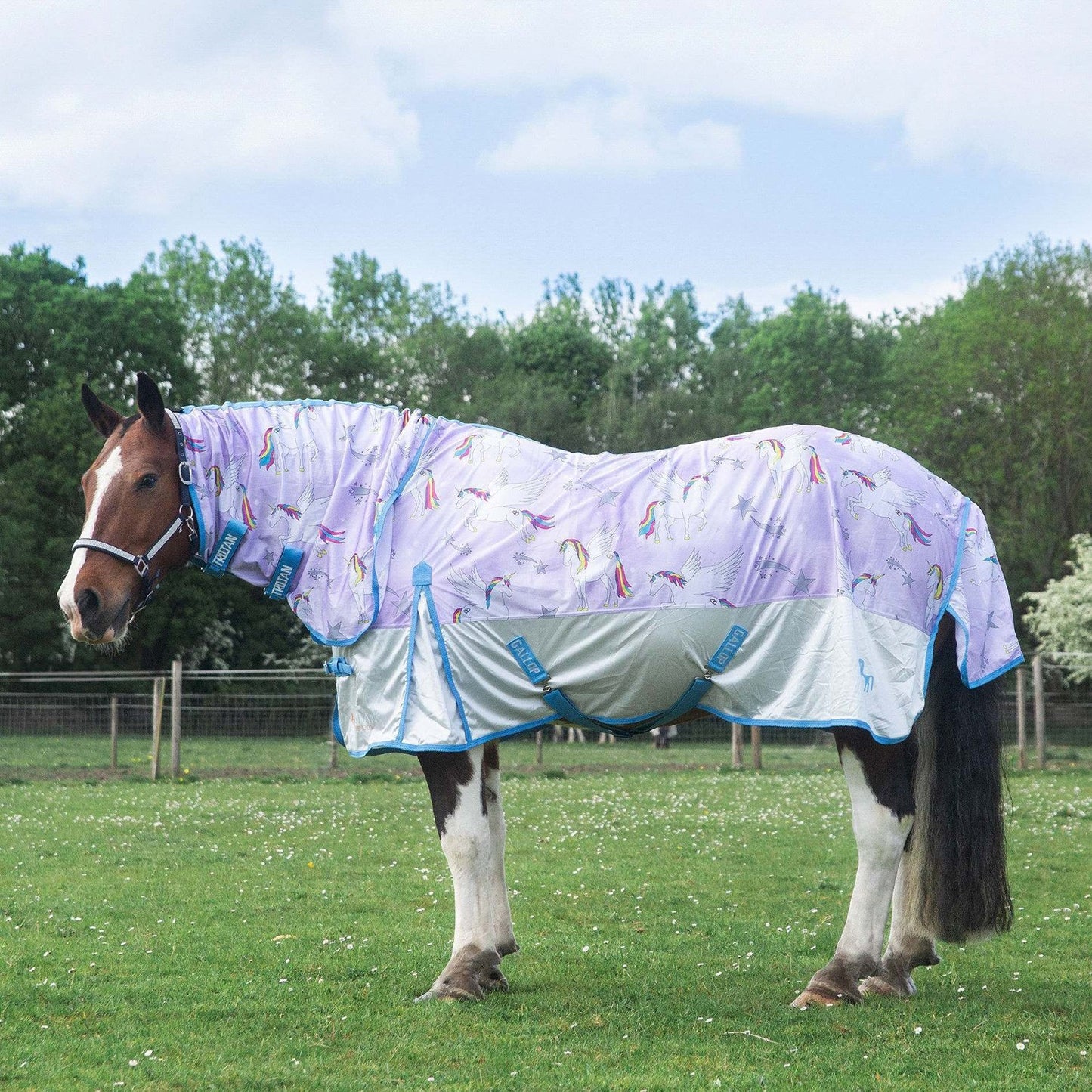 NEW TROJAN 'Pegacorn' Combo Fly Rug