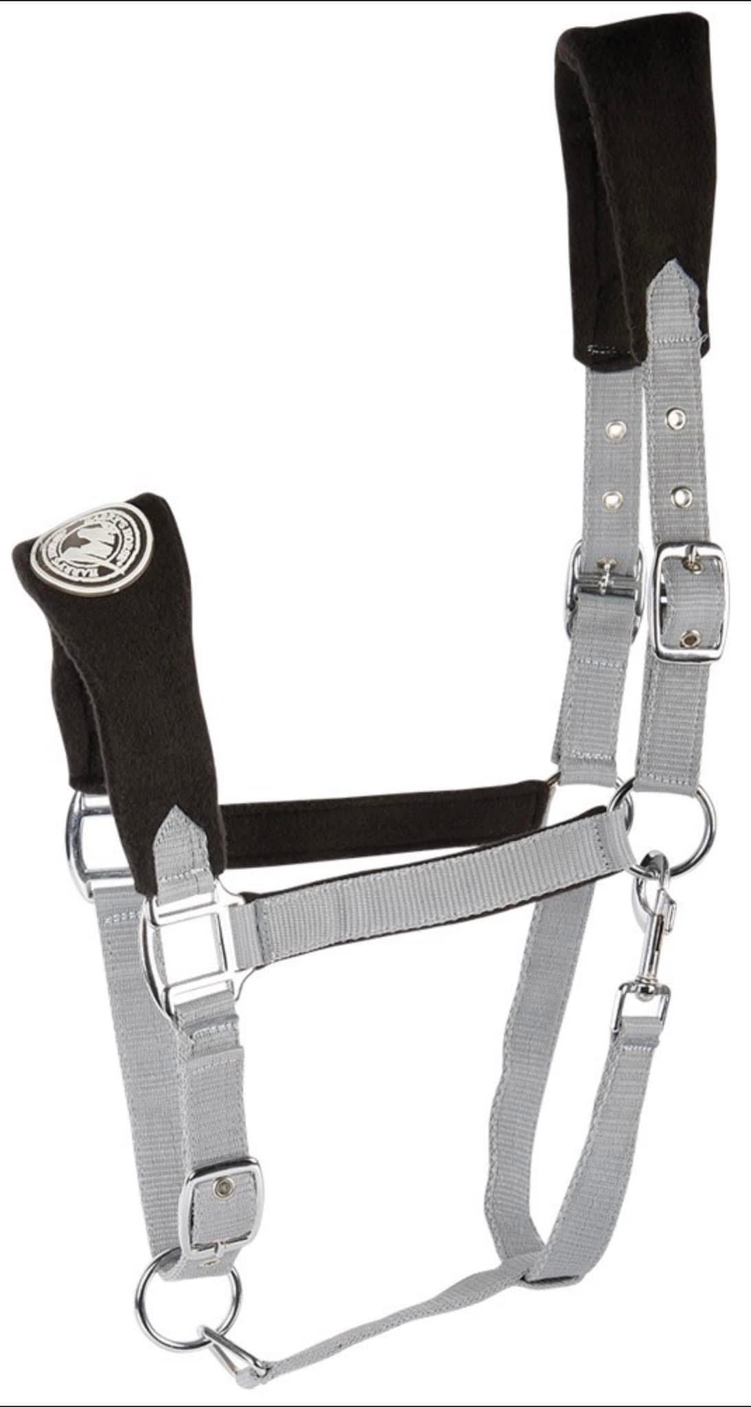 Harrys Horse Fleece Rug and Headcollar & Leadrope set